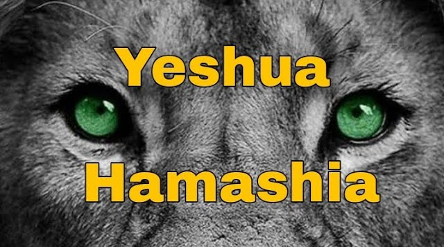 Manual da Bíblia - Yeshua Hamashiach 1